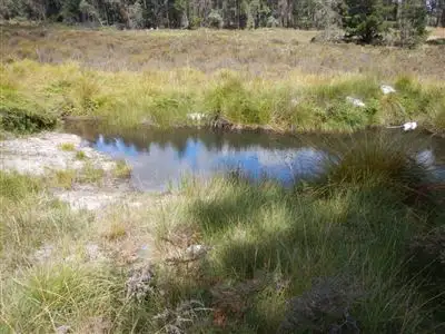 Third view of Homely rural property listing, 6344 Grafton Road (Waterfall Way), Wollomombi NSW 2350
