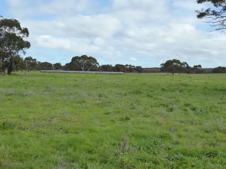 . Boothby Road, Tintinara SA 5266