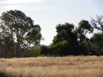 Sixth view of Homely rural property listing, 146 Finnings Rd, Elphinstone VIC 3448