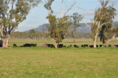 Second view of Homely rural property listing, Lot 402 Nandowra Rd, "Applegum", Scone NSW 2337