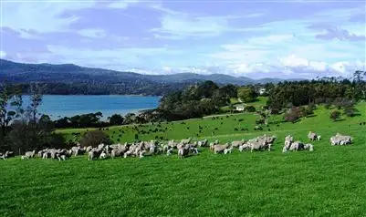 Second view of Homely rural property listing, 37 Blackwood Hills Road, Rowella TAS 7270