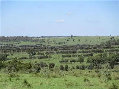 Seventh view of Homely rural property listing, . Ridgley, Taroom QLD 4420