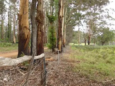 Fifth view of Homely rural property listing, 1821 Boorara Road, Northcliffe WA 6262