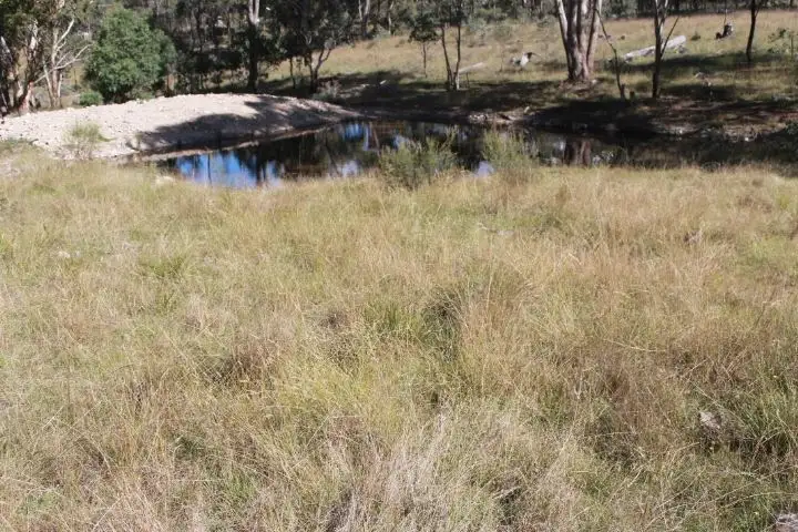 Fifth view of Homely rural property listing, 2315 Emmaville Rd, Glen Innes NSW 2370