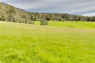 Fifth view of Homely house listing, 121 Boons Road, Blackwood Creek TAS 7301