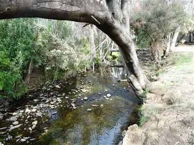 Second view of Homely rural property listing, 3010 Blessington Road, Blessington TAS 7212