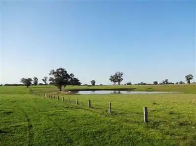 Fifth view of Homely rural property listing, 501 Forest Road, Wilby VIC 3728