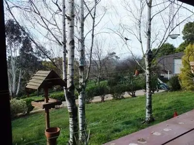 Sixth view of Homely rural property listing, 705 Canavans rd, Mount Eccles VIC 3953