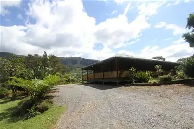 Fifth view of Homely rural property listing, 3033 Nerang-Murwillumbah Road, Springbrook QLD