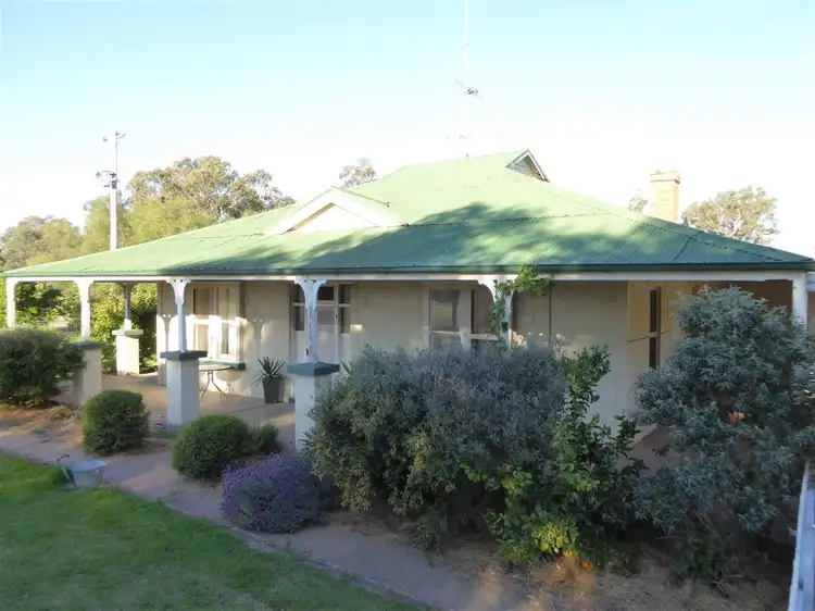 Third view of Homely rural property listing, 3946 Olympic Highway, Henty NSW 2658