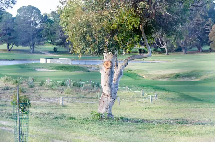 Third view of Homely house listing, 6 Russley Grove, Yanchep WA 6035