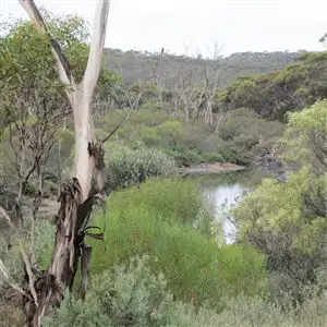 Main view of Homely rural property listing, . "Beehive Farm" Carlingup Road, Ravensthorpe WA 6346