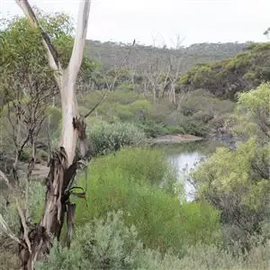 Main view of Homely rural property listing, . "Beehive Farm" Carlingup Road, Ravensthorpe WA 6346