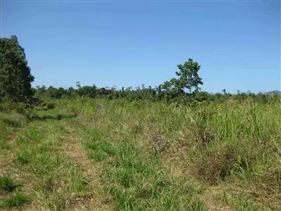 Second view of Homely rural property listing, Address available on request