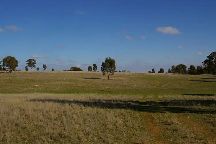 Third view of Homely rural property listing, . Morrl Morrl Forest Rd, Morrl Morrl VIC 3387