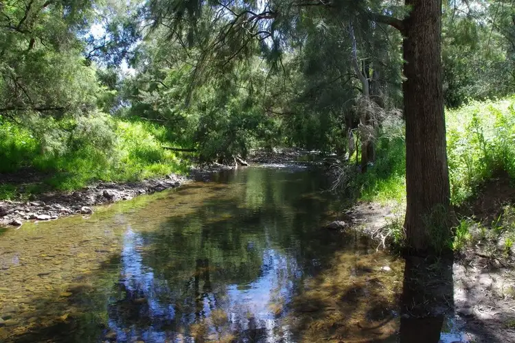 Second view of Homely rural property listing, 1131 Timor Mountain Road, Narrabri NSW 2390