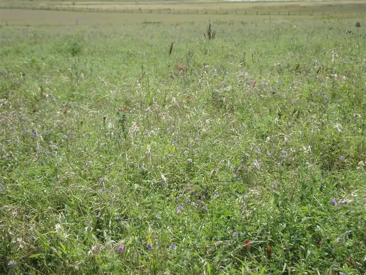 Fourth view of Homely rural property listing, 442 O'Connor Road, Haden QLD 4353