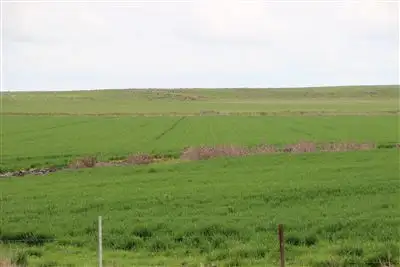 Fifth view of Homely rural property listing, 704 Mount William Road, Skipton VIC 3361