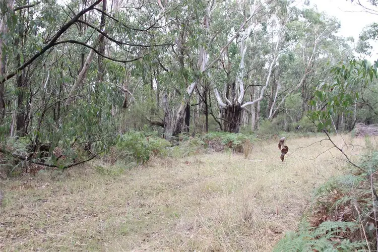 Third view of Homely rural property listing, Lot52 F Bucks Road, Scotts Creek VIC 3267