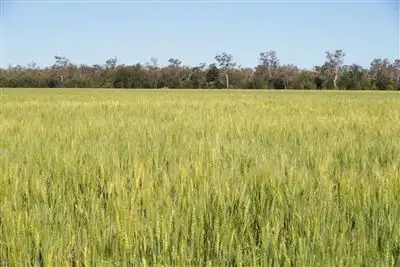 Sixth view of Homely rural property listing, . Loch Adair, Boomi NSW 2405