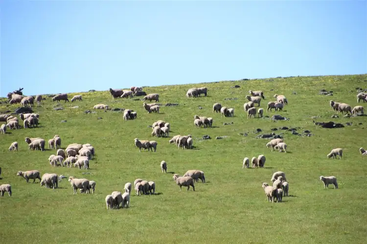 Fifth view of Homely rural property listing, . Greenhill Creek Road, Lexton VIC 3352