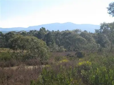 Sixth view of Homely rural property listing, 1573 Cooma Road, Braidwood NSW 2622