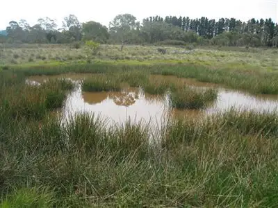 Fifth view of Homely rural property listing, 1577 (L2) Cooma Road, Braidwood NSW 2622