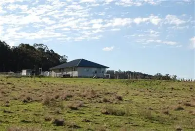 Seventh view of Homely rural property listing, 3820 Niangala Road, Niangala NSW 2354