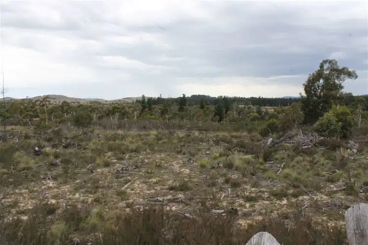 Fourth view of Homely rural property listing, L12 Sandholes Road, Braidwood NSW 2622