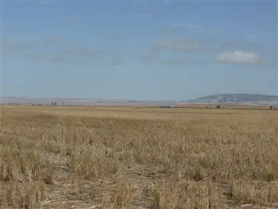 Fourth view of Homely rural property listing, 81 Wheat Road, Balaklava SA 5461