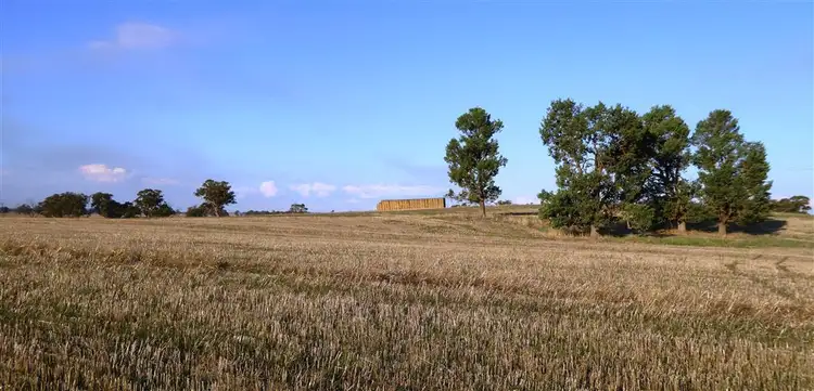 Fifth view of Homely rural property listing, 57 Nulla Nulla Road, Corowa NSW 2646