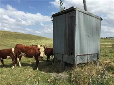 Sixth view of Homely rural property listing, Lake Hurst Mountain Ash Road, Goulburn NSW 2580