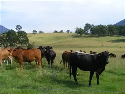 Fourth view of Homely rural property listing, "Kintyre"/9472 Old Grafton Rd, Glen Innes NSW 2370