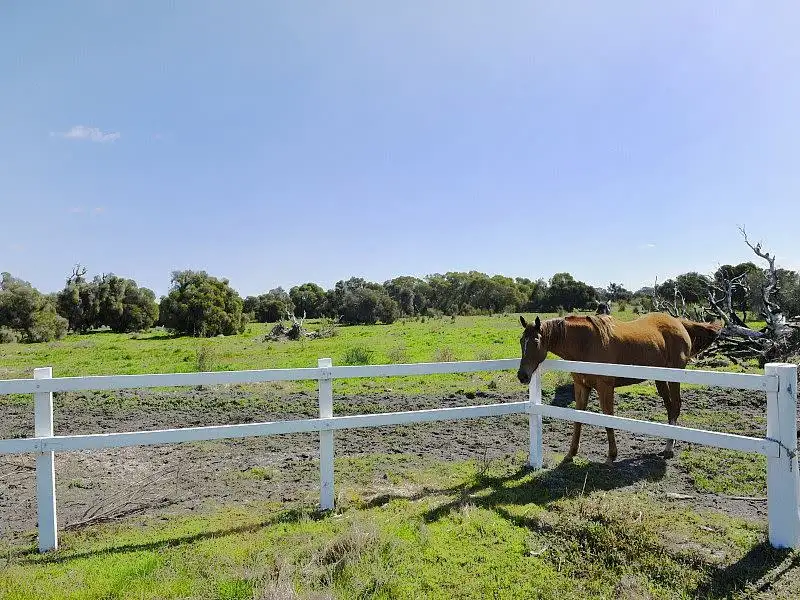 Main view of Homely land listing, Lot 550 Dirk Hartog Drive, Nambeelup WA 6207