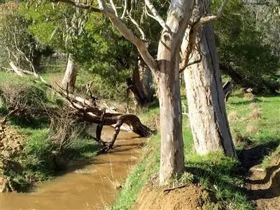 Fifth view of Homely rural property listing, 5219 Yea Whittlesea Road, Yea VIC 3717