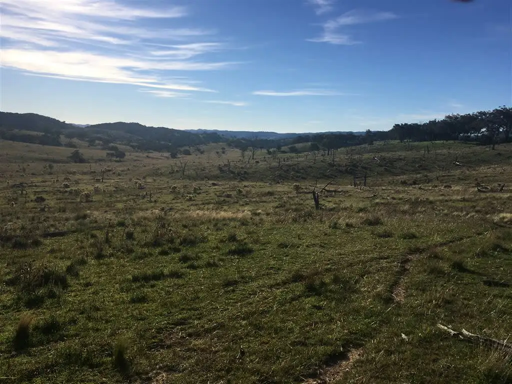 Main view of Homely rural property listing, L122/1191 Campbells Creek Rd, Mudgee NSW 2850