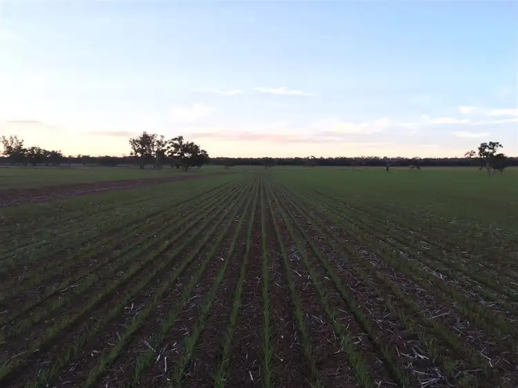 Fifth view of Homely rural property listing, 1077 Watermark Rd Weneter Park, Gunnedah NSW 2380