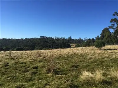 Fifth view of Homely land listing, 664 Bream Creek Road, Bream Creek TAS 7175
