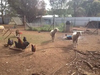 Seventh view of Homely house listing, 23 Gilbert Street, Tarlee SA 5411