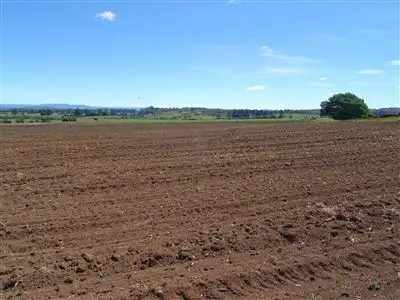 Fifth view of Homely rural property listing, 345 Emu Plains Road, Westbury TAS 7303