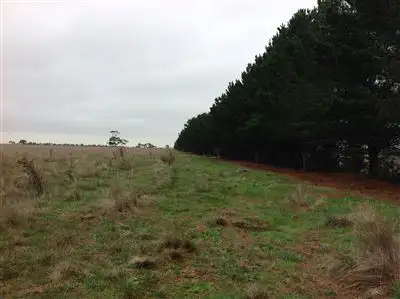 Fourth view of Homely rural property listing, 0 Quirks Lane, Chintin VIC 3756