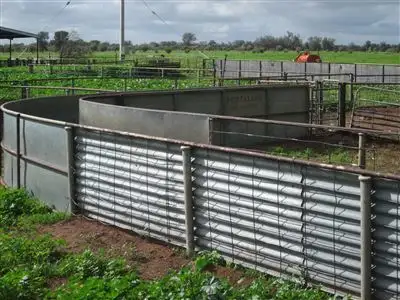 Seventh view of Homely rural property listing, . Coolaminyah, Ivanhoe NSW 2878