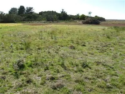 Main view of Homely land listing, Lot 16 Beach Road, Mcloughlins Beach VIC 3874