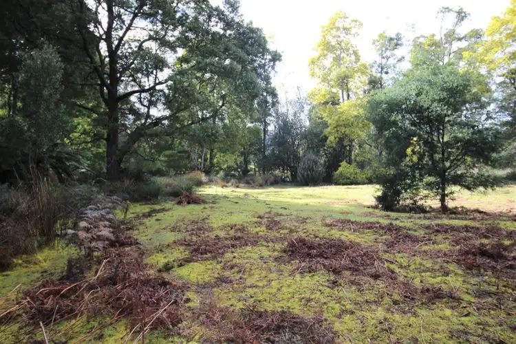 Seventh view of Homely rural property listing, Lot 2 Prosperity Road, Scottsdale TAS 7260