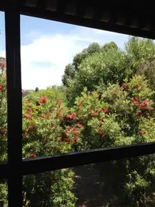 Second view of Homely house listing, 34 MANILLA STREET, Manilla NSW 2346