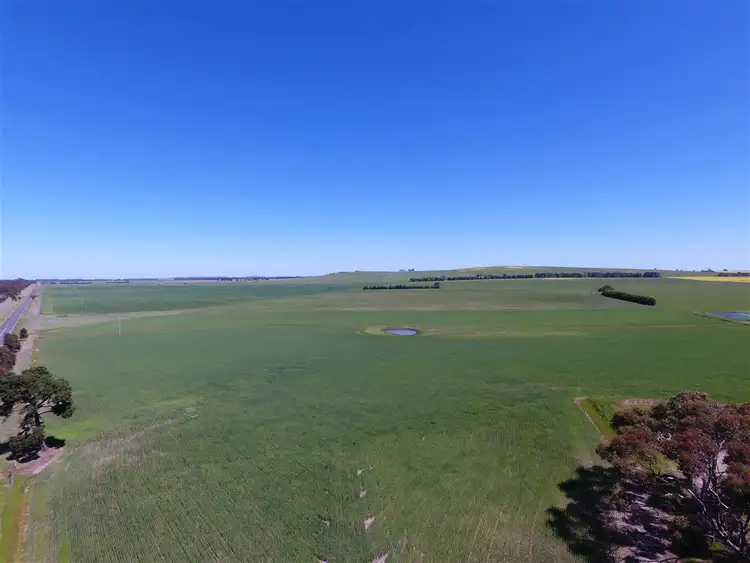 Fourth view of Homely rural property listing, 1435 Lismore-Pitfield Road, Wallinduc VIC 3351