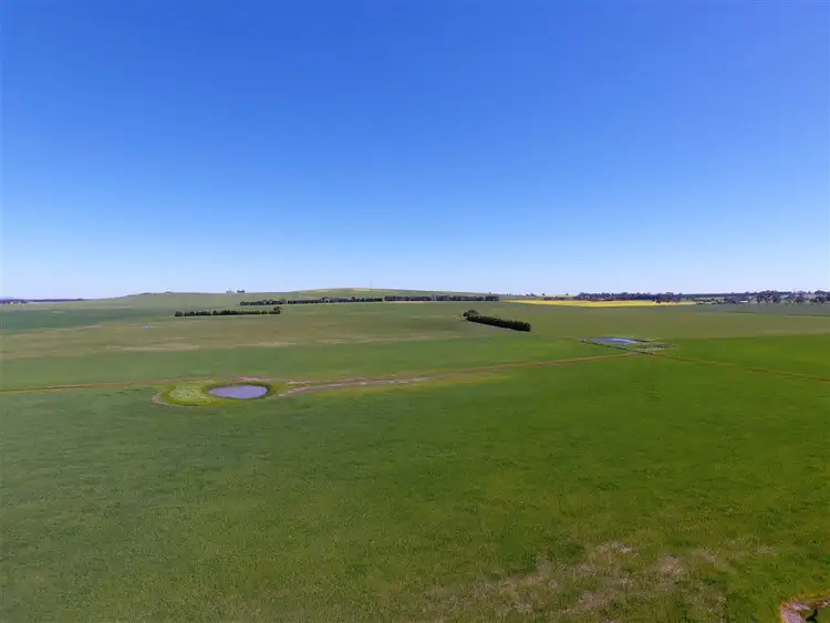 Fifth view of Homely rural property listing, 1435 Lismore-Pitfield Road, Wallinduc VIC 3351