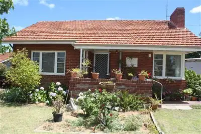 Main view of Homely house listing, 19 Dianne Street, Hamilton Hill WA