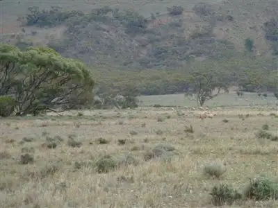 Sixth view of Homely rural property listing, * Hooper Road, Walloway, Orroroo SA 5431