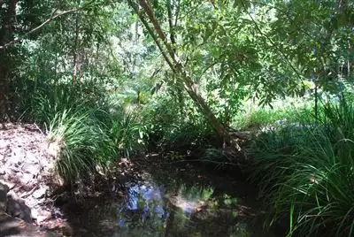 Fifth view of Homely rural property listing, 39 Ryans rd, Uki NSW